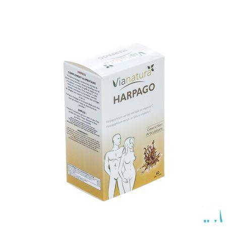 Harpago Comprimes 60x46,5 gr  -  Biover