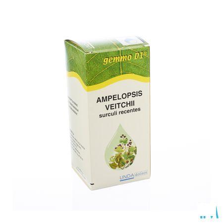 Ampelopsis Veit.gemmo D1 125 ml  -  Boiron