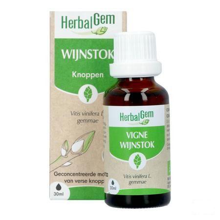 Herbalgem Vigne Bio 30 ml