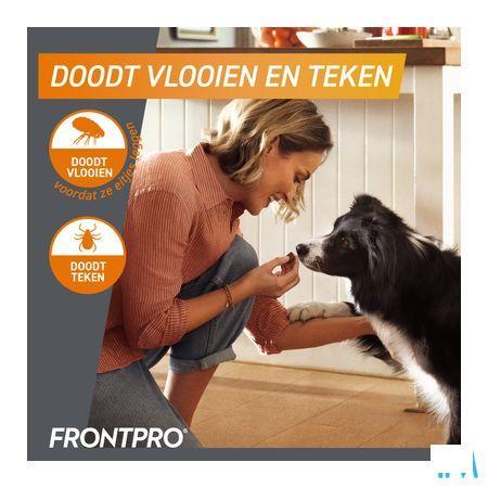 Frontpro 11Mg >2-4Kg Hond Kauwtabl 3