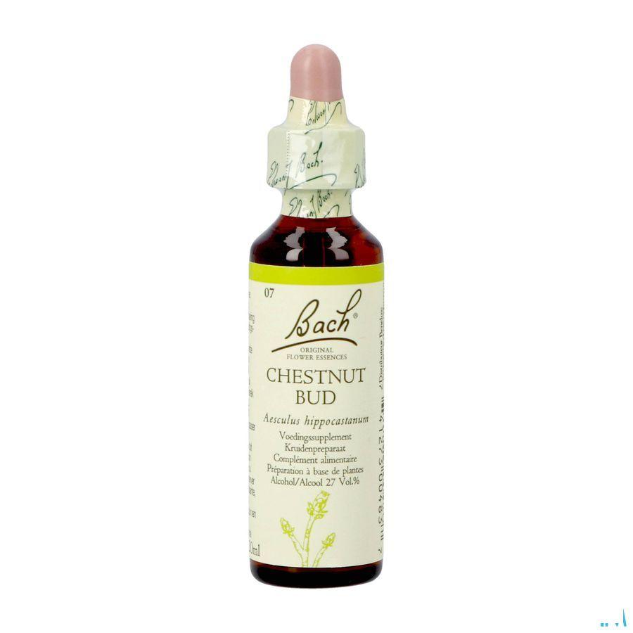 Bach Flower Remedie 07 Chestnut Bud 20 ml