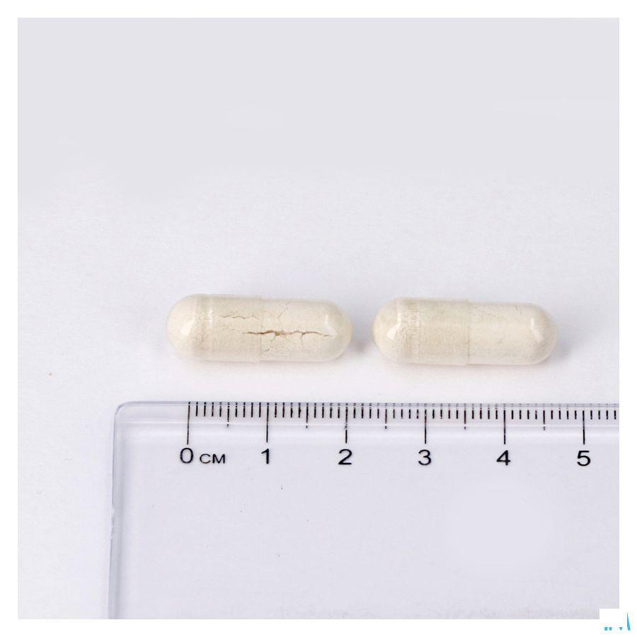 Leppin Dolomite 500 mg Gel 60  -  Lepivits