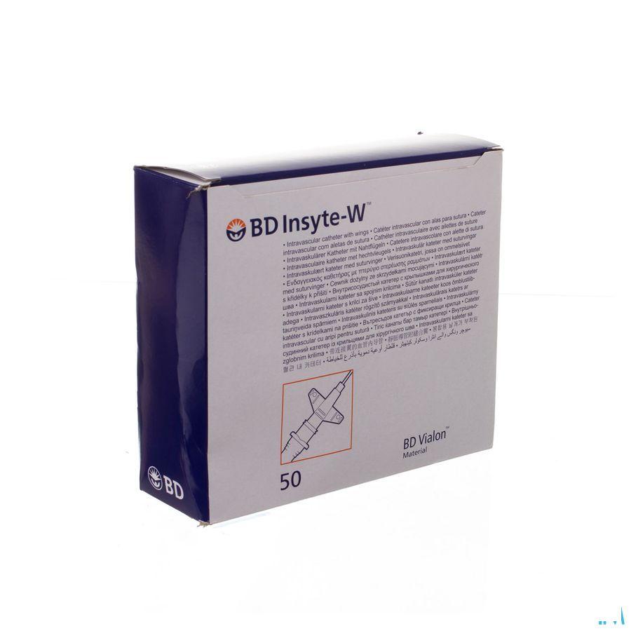 Bd Insyte-W Cath.Iv 22G 1 0,9X25Mm Blauw 50 381323