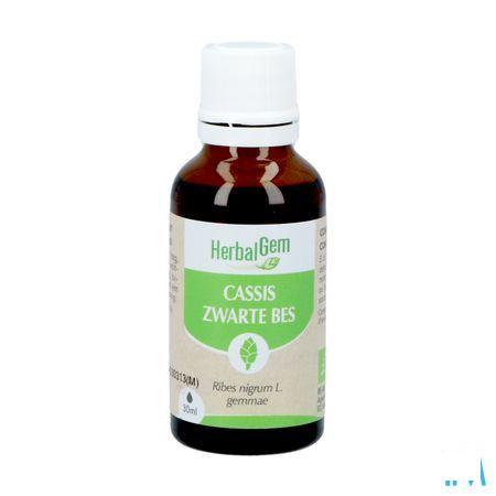 Herbalgem Zwarte Bes Maceraat 30 ml  -  Herbalgem