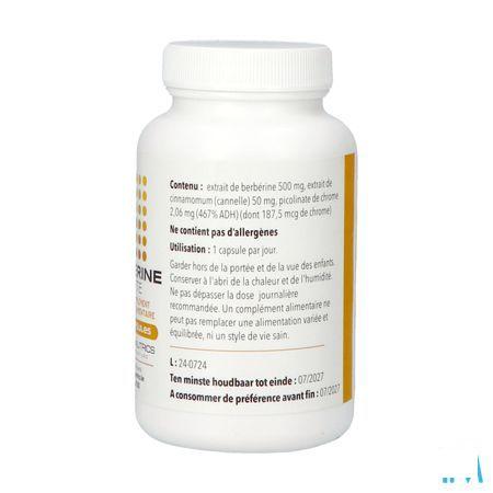 Berberine Forte V-Caps 120 Pharmanutrics