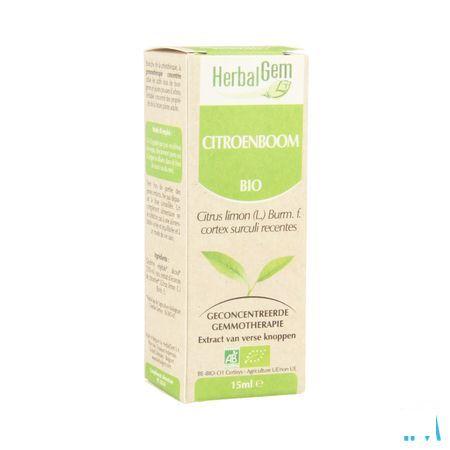 Herbalgem Citroenboom Maceraat 15 ml  -  Herbalgem
