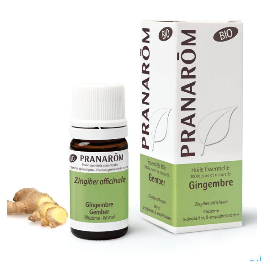 Gember Bio Essentiele Olie 5 ml  -  Pranarom
