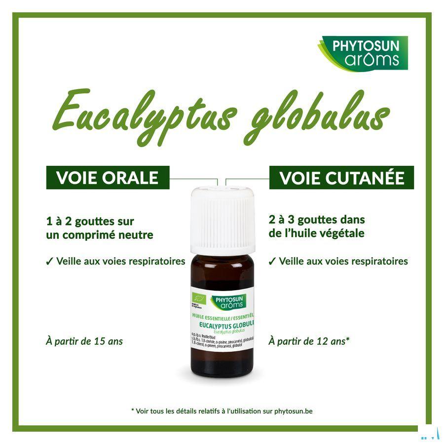 Phytosun Euc. Globulus Fr-bio-01 10 ml