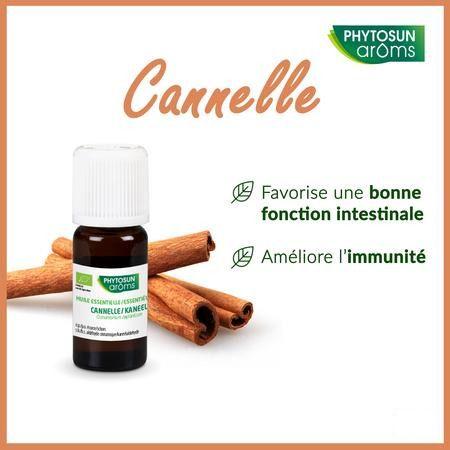 Phytosun Kaneel Fr-bio-01 5 ml
