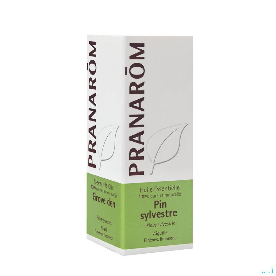 Pin Sylvestre Huile Essentielle 10 ml  -  Pranarom