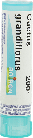 Cactus Grandiflorus 200K Gr 4g  -  Boiron
