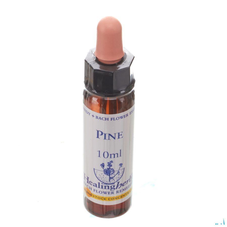Healing Herbs Pine 10 ml