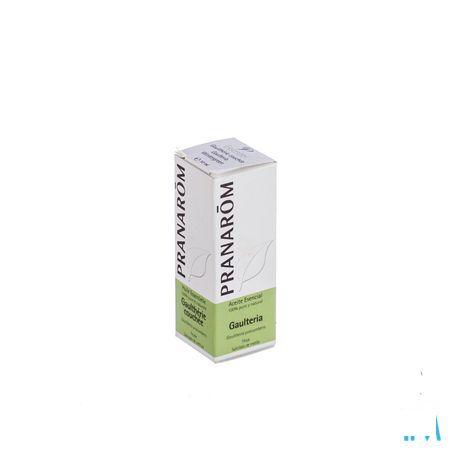 Wintergreen Essentiele Olie 10 ml  -  Pranarom