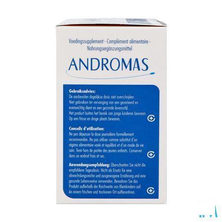 Andromas Sach 30
