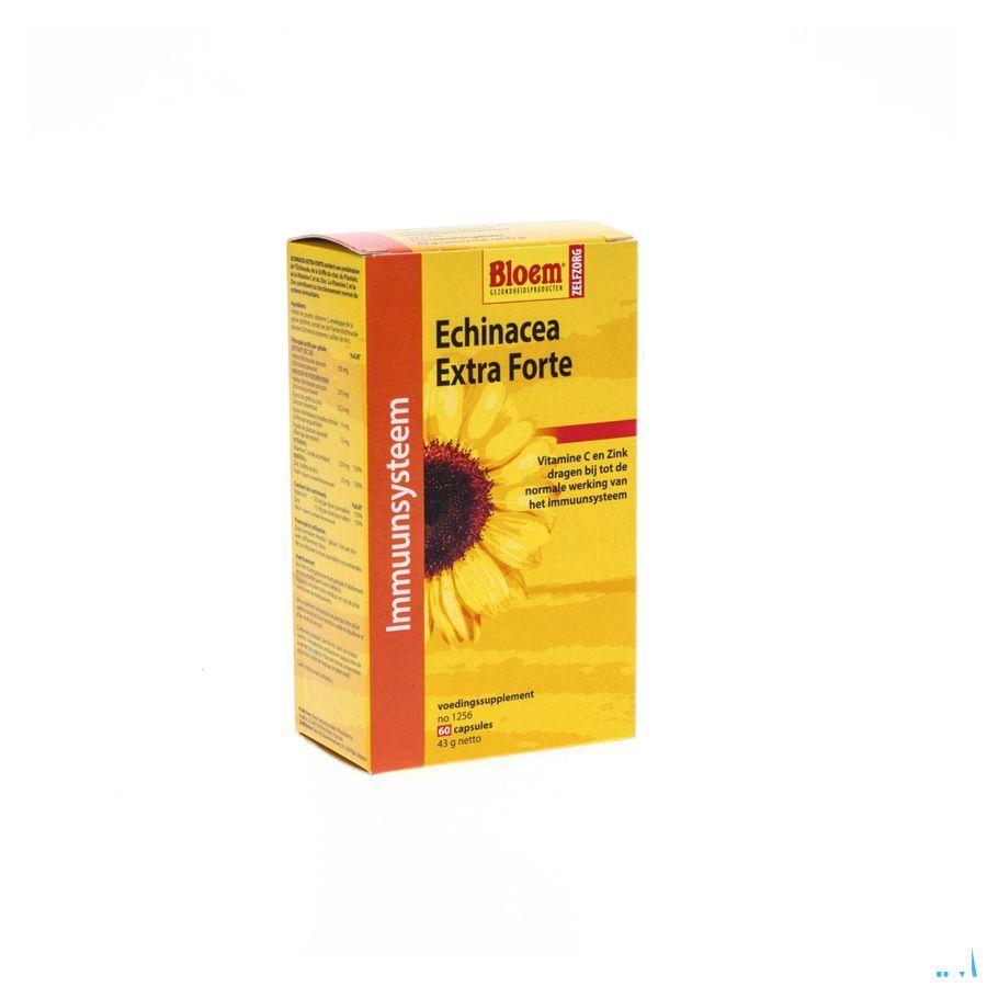 Echinacea Extra Forte Capsule 60