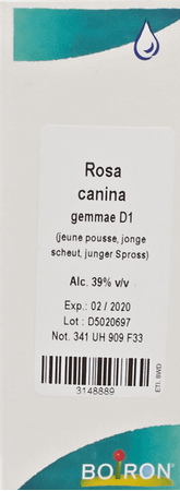 Rosa Canina Gemmo D1 60 ml  -  Boiron