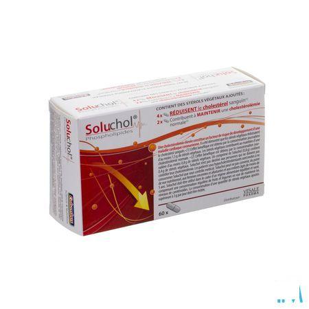 Soluchol Capsule 60