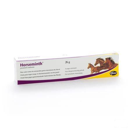 Horseminth Pasta Spuit 1x26g