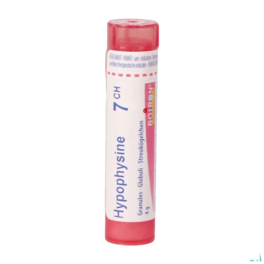 Hypophysine 7CH Gr 4g  -  Boiron