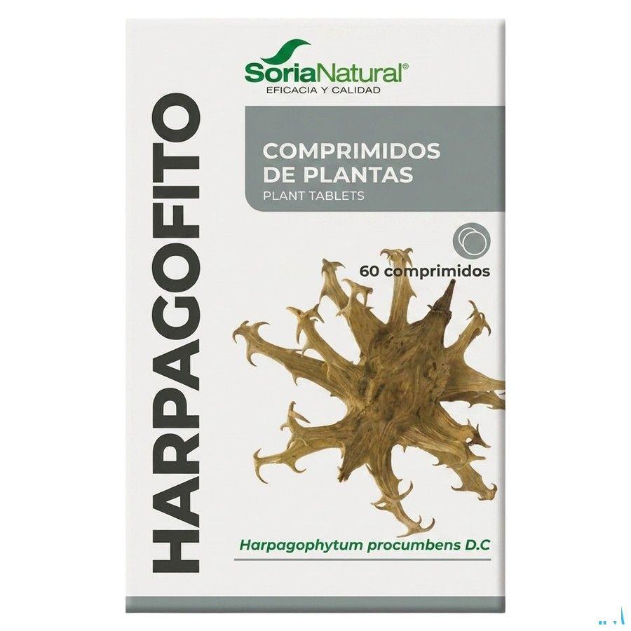 Soria 24-s Harpagophytum 60 Comprimes  -  Soria Bel