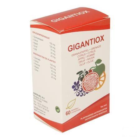 Soria Gigantiox 60 Comprimes  -  Soria Bel