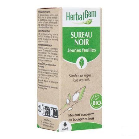 Herbalgem Sureau Noir Bio 30 ml