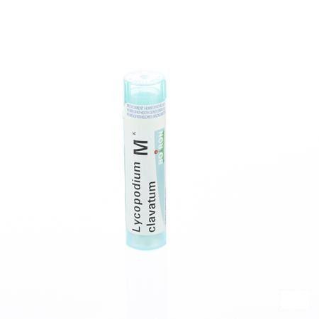 Lycopodium Clavatum MK Gr 4g  -  Boiron