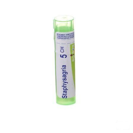 Staphysagria 5CH Gr 4g  -  Boiron