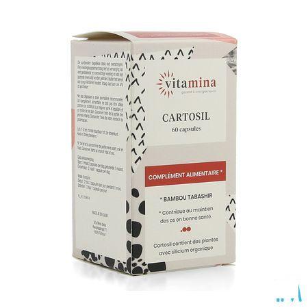 Vita Mina Cartosil Caps 60