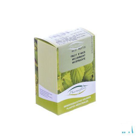 Anijs Vrucht Doos 100 gr  -  Fagron