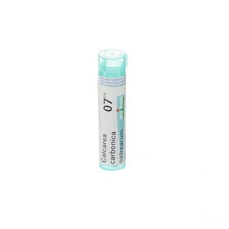 Calcarea Carbonica Ostrearum 7CH Gr 4g  -  Boiron