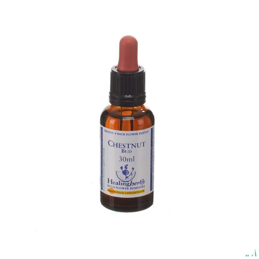 Healing Herbs Chestnut Bud 30 ml