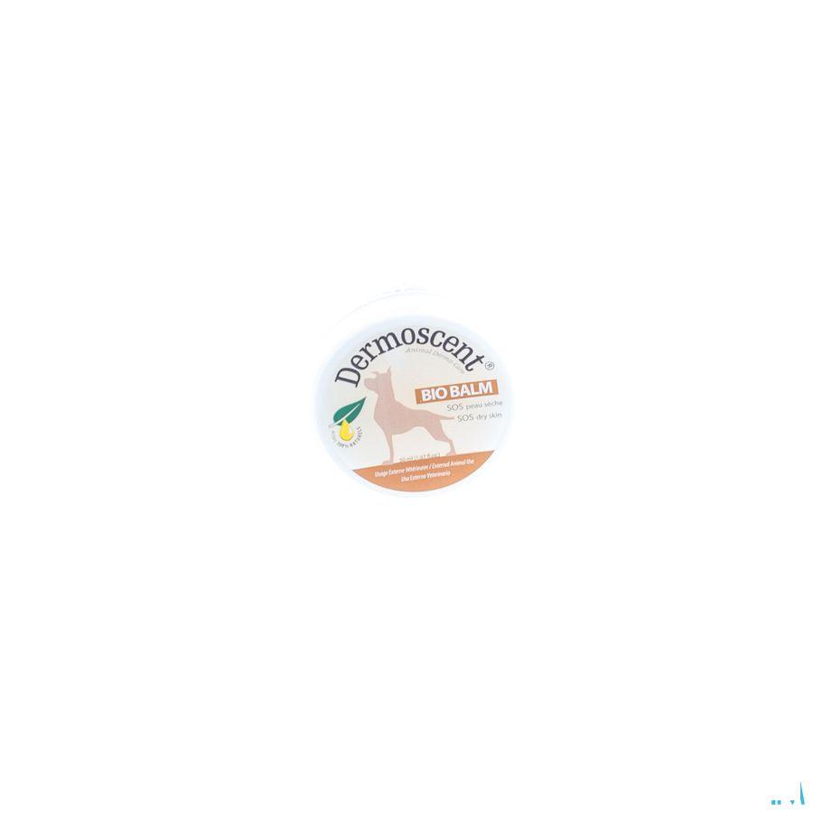 Essential Bio Balm Hond Huidzalf Pot 50 ml