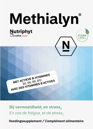 Methialyn Tabletten 4x15  -  Nutriphyt
