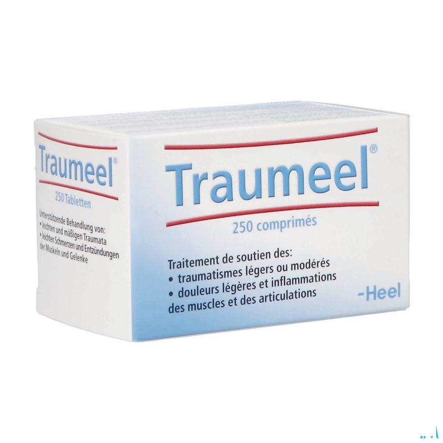 Heel Traumeel 250 Comp  -  Heel