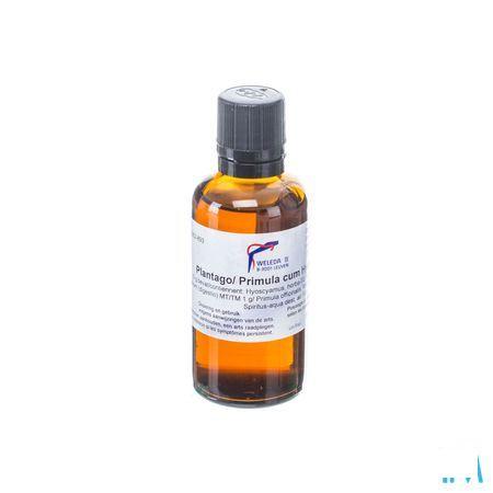 Plantago/primula Cum Hyoscyamo N Gouttes 50 ml  -  Weleda