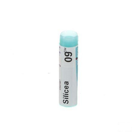 Silicea 9CH Gl  -  Boiron