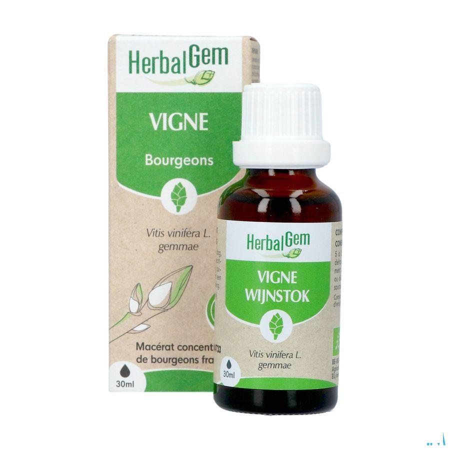 Herbalgem Vigne Bio 30 ml