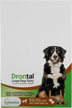 Drontal Large Dog Tasty 525/504/175 mg Comprimes 24