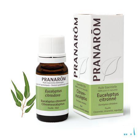 Eucalyptus Citronne Huile Essentielle 10 ml  -  Pranarom