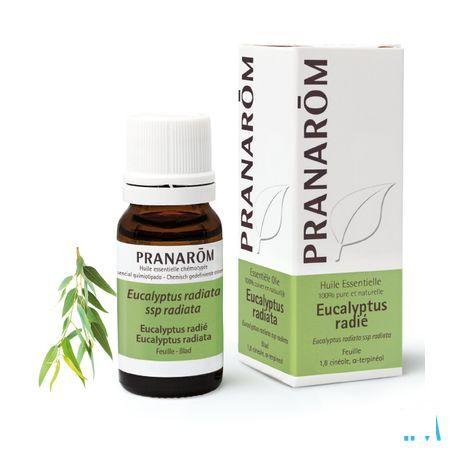 Eucalyptus Radiata Huile Essentielle 10 ml  -  Pranarom