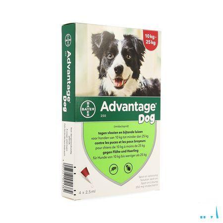 Advantage 250 Honden 10