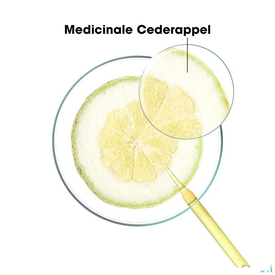 Klorane Capil. Shampooing Solide Cedrat 80 gr