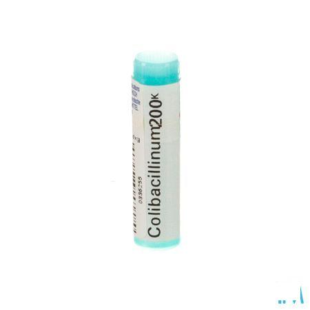 Colibacillinum 200K Gl  -  Boiron