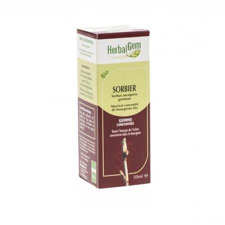 Herbalgem Lijsterbes Maceraat 50 ml  -  Herbalgem