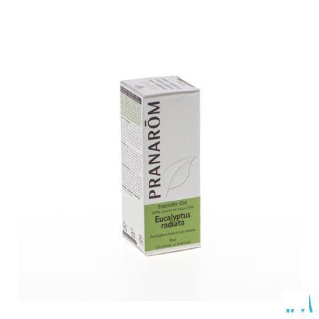 Eucalyptus Radiata Huile Essentielle 10 ml  -  Pranarom