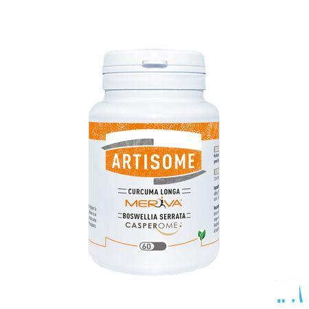 Artisome Tabletten 60 X 1000 mg  -  Dynarop Products
