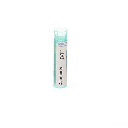 Cantharis 4ch Gr 4g  -  Boiron