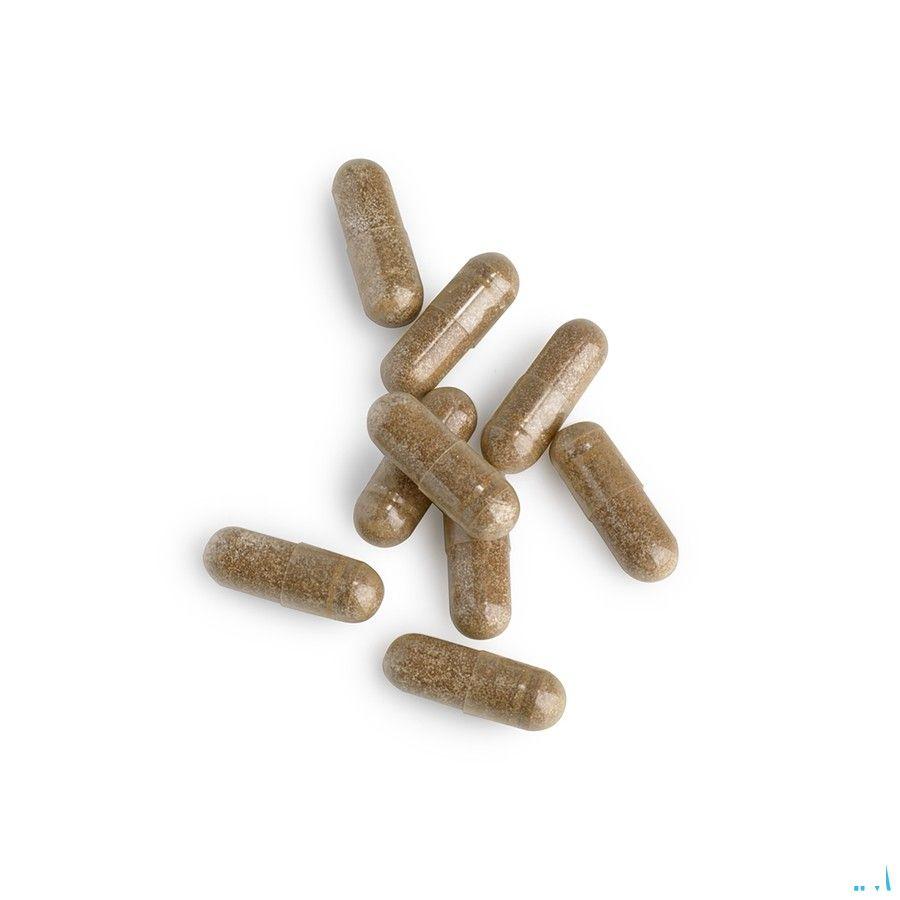 Biotics Bamboe 180 capsules  -  Energetica Natura