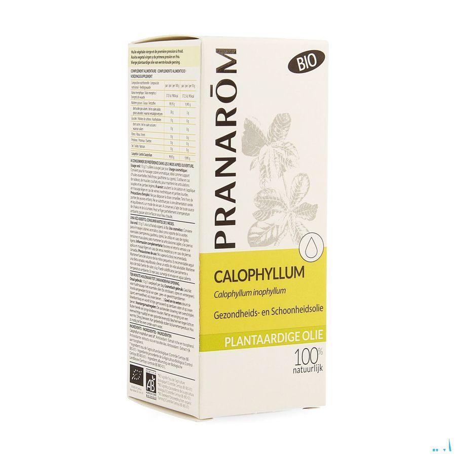 Calophyllus Bio Plantaardige Olie 50 ml  -  Pranarom